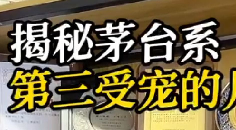 茅台第三受宠的儿子是谁？
